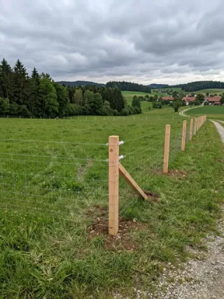 Weidezaun in Rogätz - fachgerechte Ausführung vor Ort
